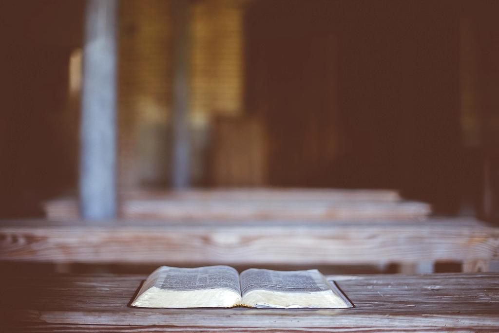 Open book with glowing icons representing knowledge